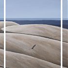Carol CUrrie
